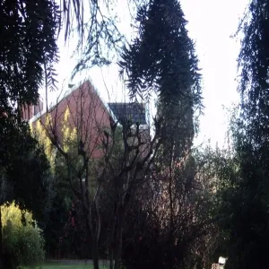 Foto de Villa Grampa