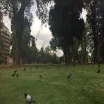 Foto 4 Parque Chacabuco